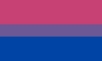 bandera-bisexual